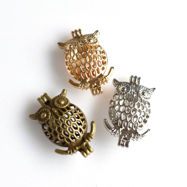 2PCS Owl Cage Pendants,3 Colors Available-TS094