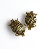 2PCS Owl Cage Pendants,3 Colors Available-TS094