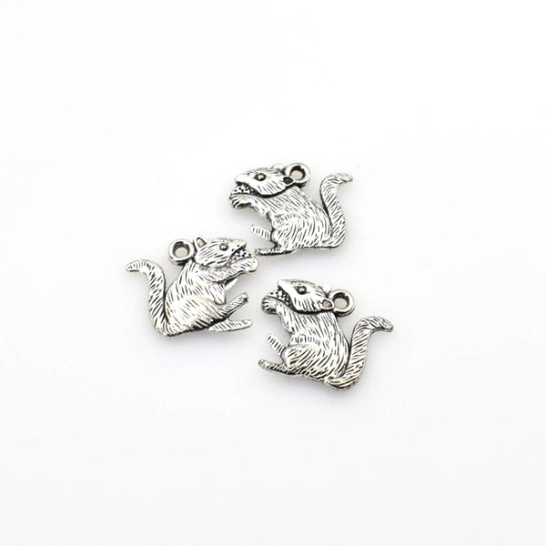 20PCS Squirrel Charms,Antique Silver Tone Double Sided-RS701