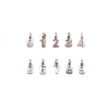 10PCS Number Charms 0-9,Antique Silver Tone-RS1202