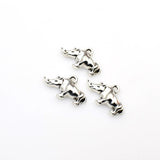 20PCS Rhinoceros Charms Antique Silver Tone-RS1111