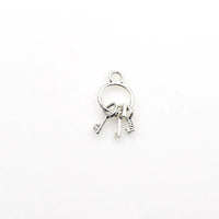 10PCS Bunch of Key Charms,2 Colors Available-RS507