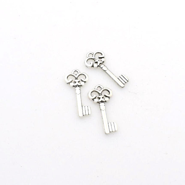 Wholesale 40PCS Key Charms,Antique Silver Tone-RS079